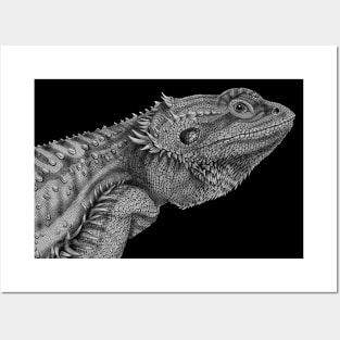 Bearded Dragon Posters and Art